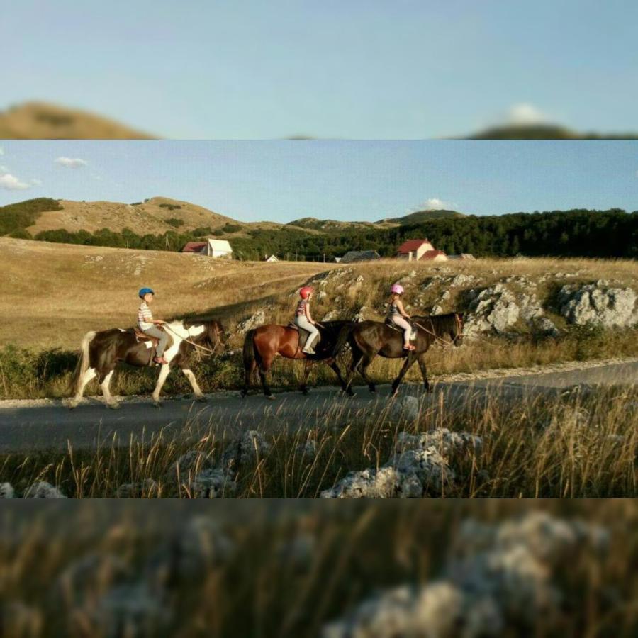 Rural Resort Tron Plužine Dış mekan fotoğraf