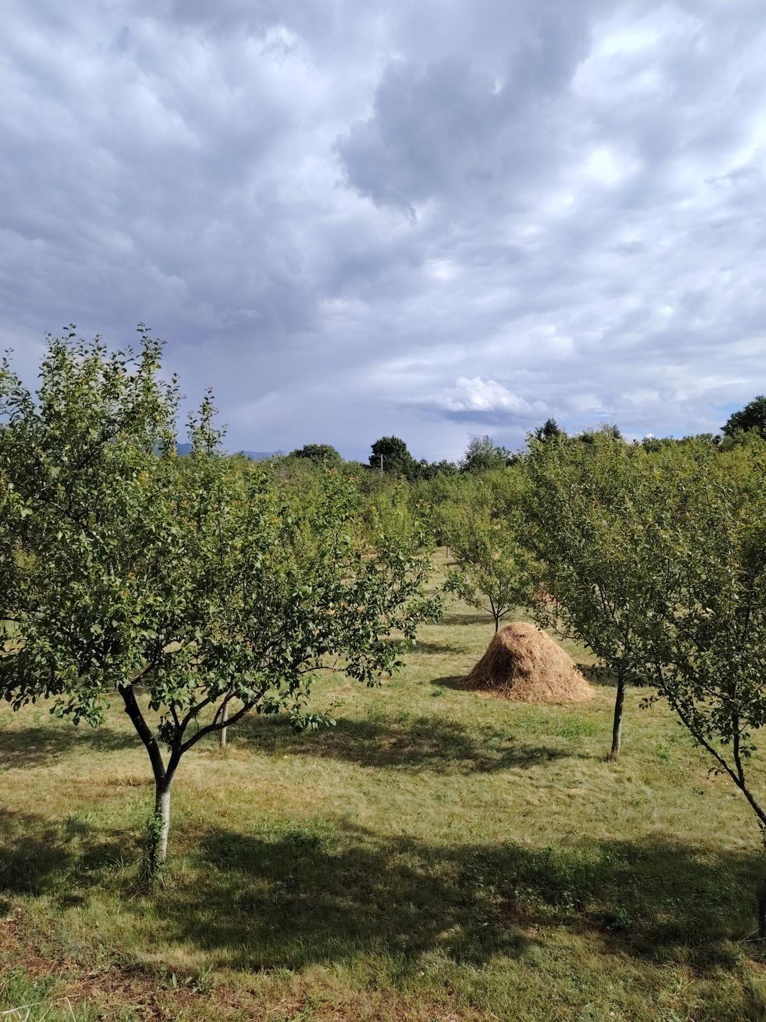 Rural Resort Tron Plužine Dış mekan fotoğraf